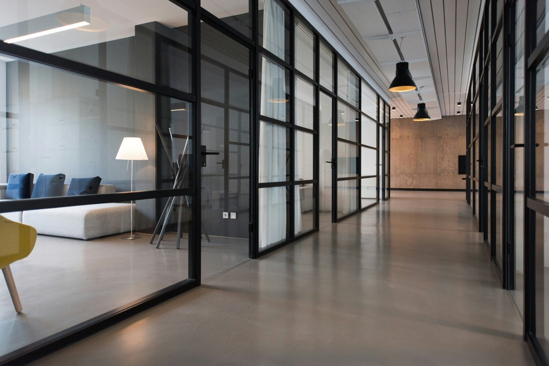 Light-filled commercial office interior
